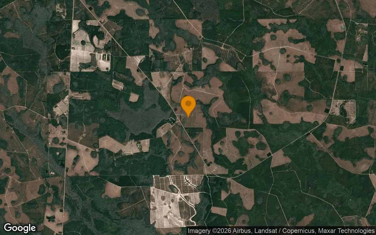74.58 Acres in Homerville - Clinch County, GA - Image 3