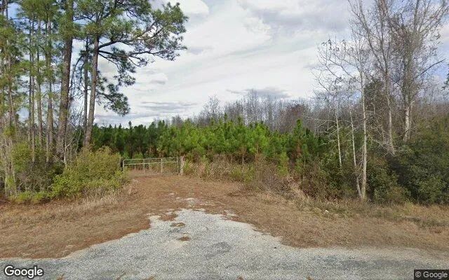 74.58 Acres in Homerville - Clinch County, GA in Clinch County, Georgia