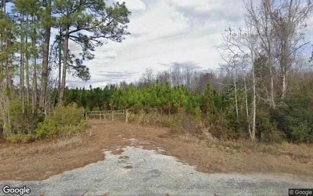 74.58 Acres in Homerville - Clinch County, GA - Image 4