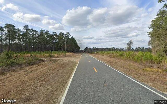 Decorative background for 74.58 Acres in Homerville - Clinch County, GA image 5