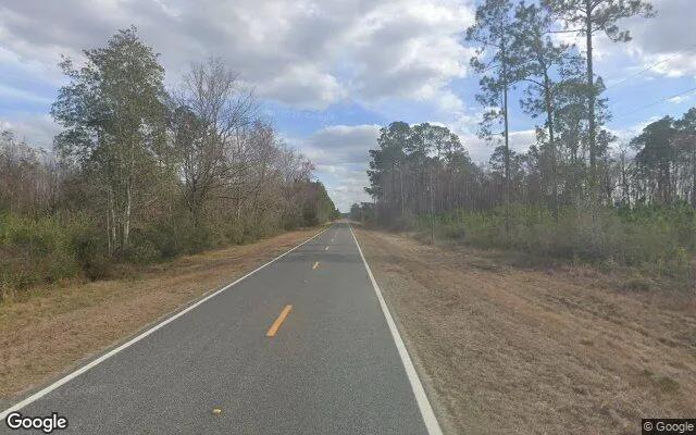 Decorative background for 74.58 Acres in Homerville - Clinch County, GA image 6