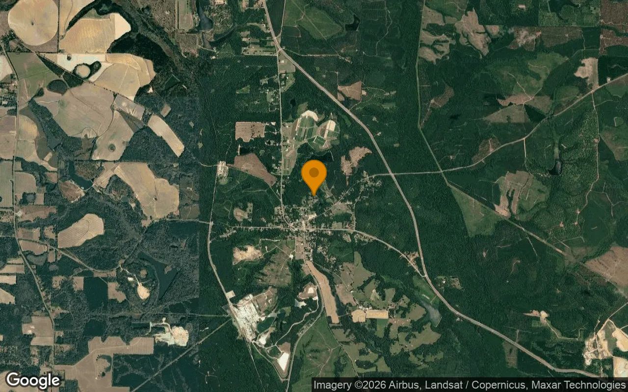 0.24 Acres in Attapulgus - Decatur County, GA in Decatur County, Georgia