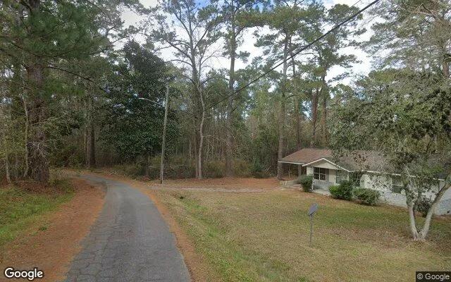 Decorative background for 0.24 Acres in Attapulgus - Decatur County, GA image 6