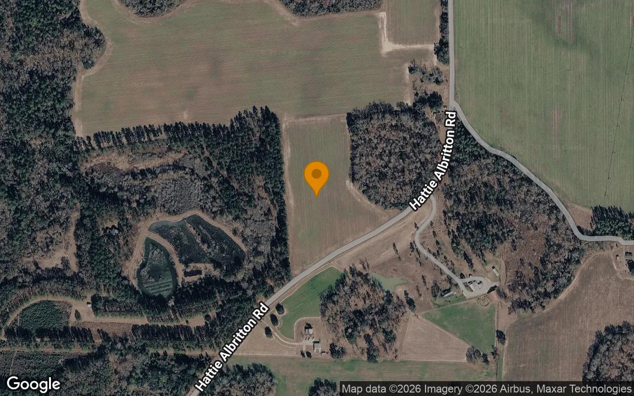 Decorative background for 34.75 Acres in Dawson - Terrell County, GA image 6