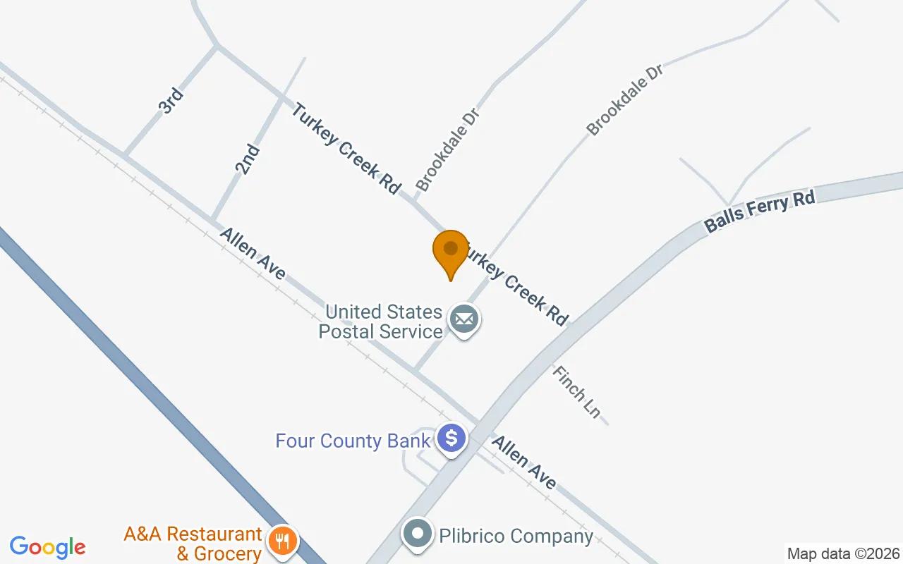 0.56 Acres in Allentown - Wilkinson County, GA - Image 2