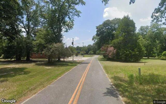 Decorative background for 0.56 Acres in Allentown - Wilkinson County, GA image 5