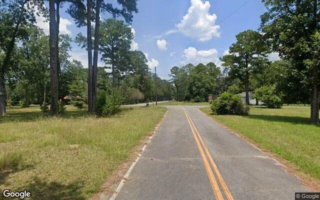 Decorative background for 0.56 Acres in Allentown - Wilkinson County, GA image 6