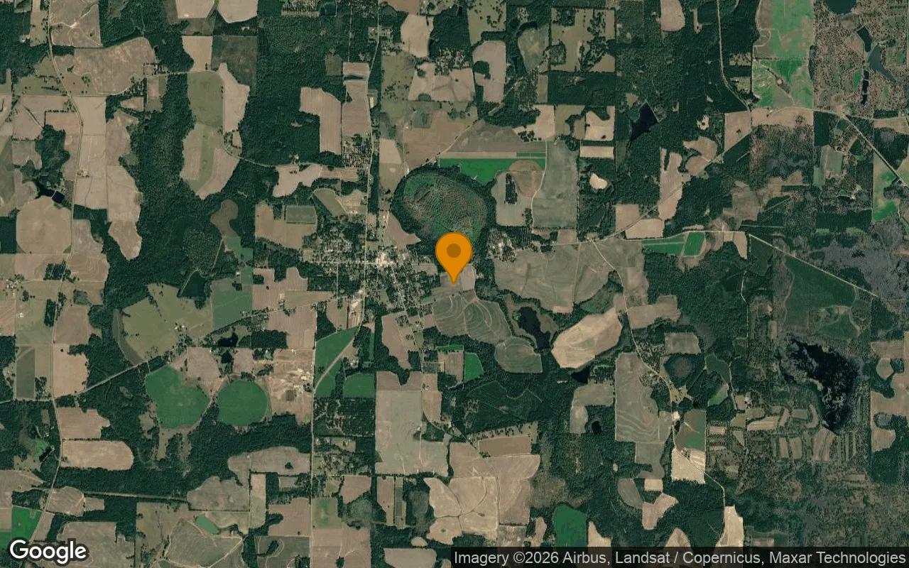 21.69 Acres in Barwick - Brooks County, GA - Image 3
