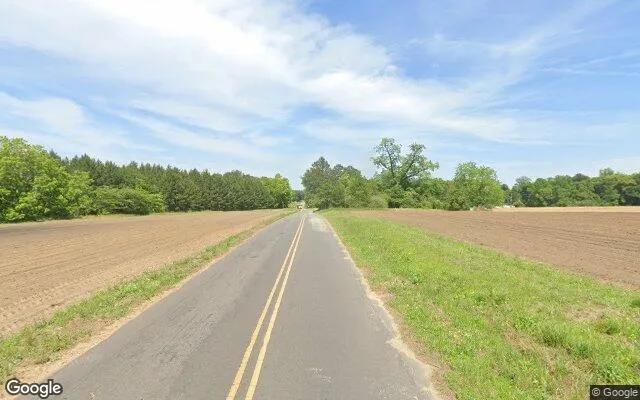 Decorative background for 21.69 Acres in Barwick - Brooks County, GA image 5
