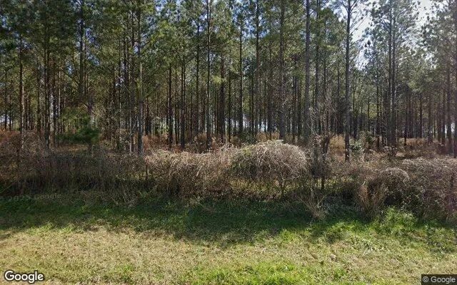 7.73 Acres in Ellaville - Schley County, GA in Schley County, Georgia