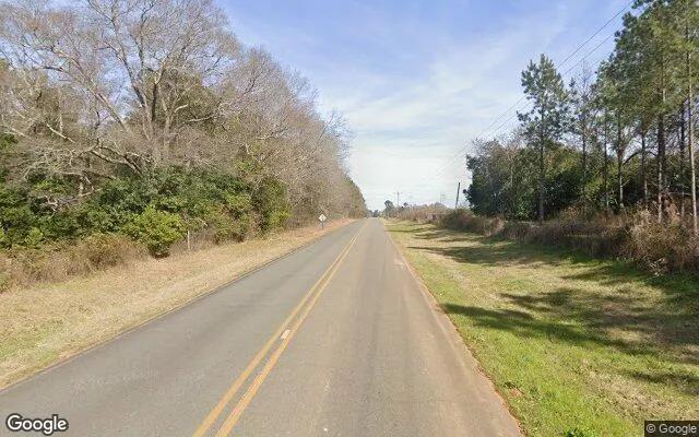 Decorative background for 7.73 Acres in Ellaville - Schley County, GA image 5