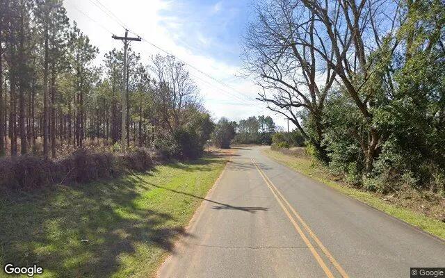 Decorative background for 7.73 Acres in Ellaville - Schley County, GA image 6