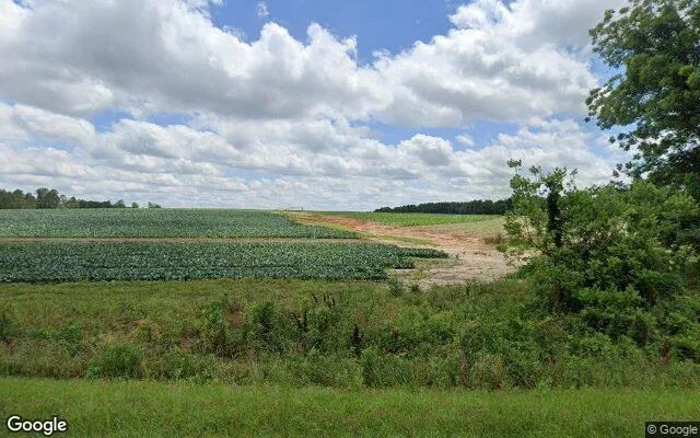 75.32 Acres in Dixie - Brooks County, GA in Brooks County, Georgia