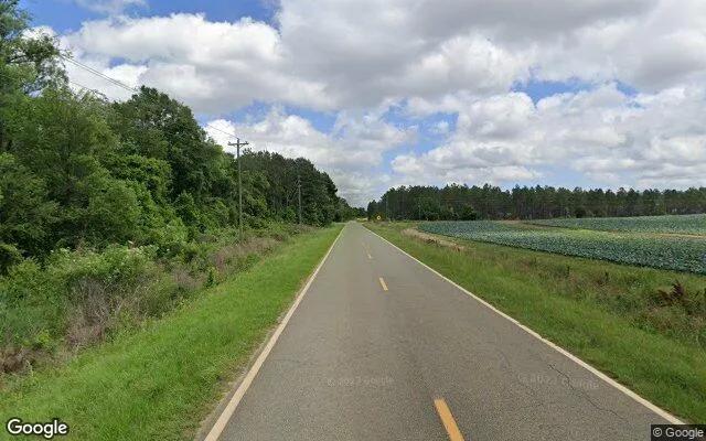 Decorative background for 75.32 Acres in Dixie - Brooks County, GA image 5