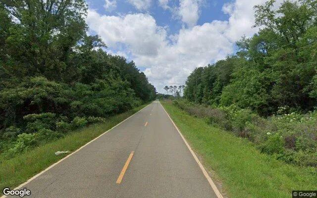 Decorative background for 75.32 Acres in Dixie - Brooks County, GA image 6