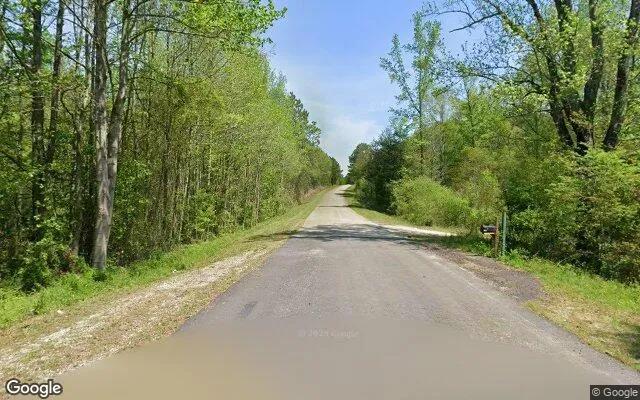 Decorative background for 1.54 Acres in Bowman - Elbert County, GA image 5