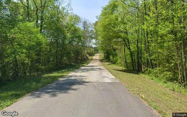 Decorative background for 1.54 Acres in Bowman - Elbert County, GA image 6