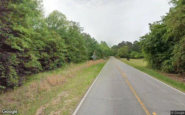 Decorative background for 0.55 Acres in Sunny Side - Spalding County, GA image 5