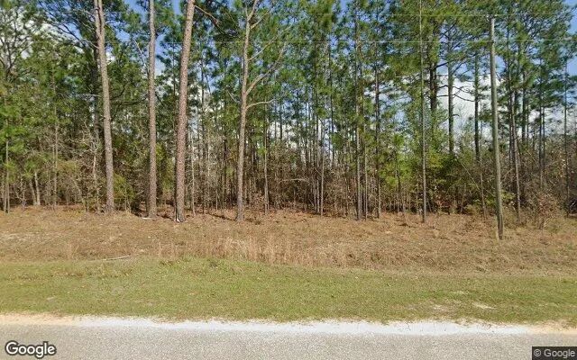 0.55 Acres in Donalsonville - Seminole County, GA in Seminole County, Georgia