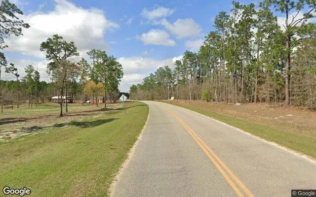 Decorative background for 0.55 Acres in Donalsonville - Seminole County, GA image 5