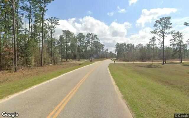 Decorative background for 0.55 Acres in Donalsonville - Seminole County, GA image 6