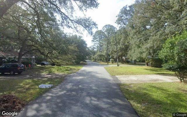 Decorative background for 0.35 Acres in Jekyll Island - Glynn County, GA image 6