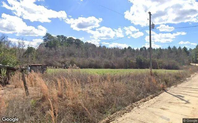 Decorative background for 7.52 Acres in Portal - Bulloch County, GA image 5