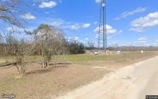 Decorative background for 7.52 Acres in Portal - Bulloch County, GA image 6
