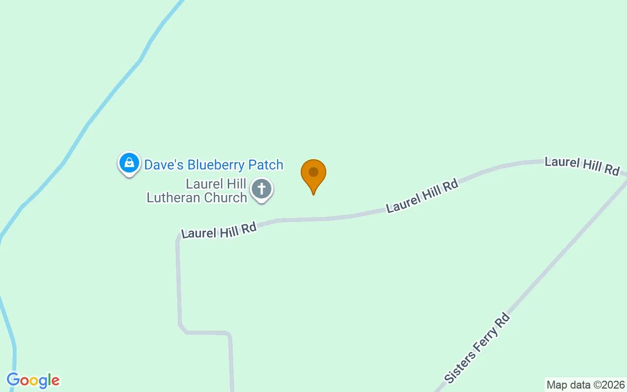 1.5 Acres in Clyo - Effingham County, GA in Effingham County, Georgia