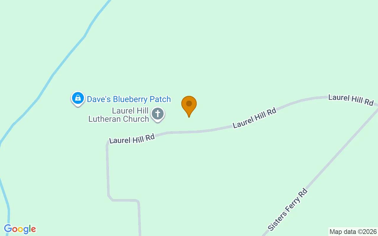 1.5 Acres in Clyo - Effingham County, GA - Image 2
