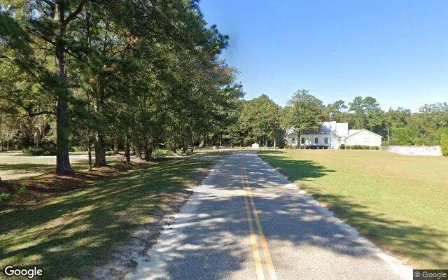 Decorative background for 1.5 Acres in Clyo - Effingham County, GA image 5