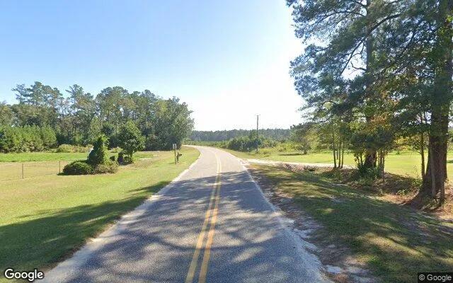 Decorative background for 1.5 Acres in Clyo - Effingham County, GA image 6