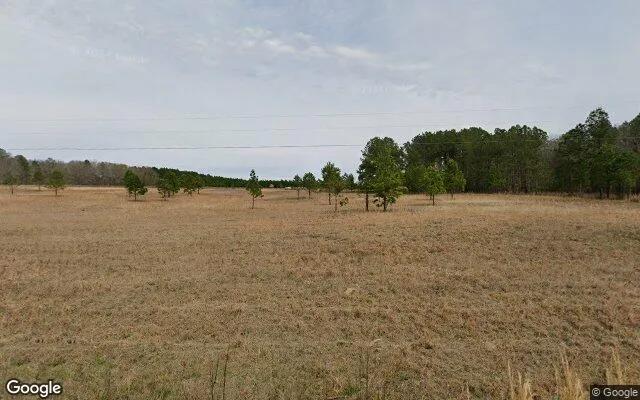74.65 Acres in Eastman - Dodge County, GA - Image 4