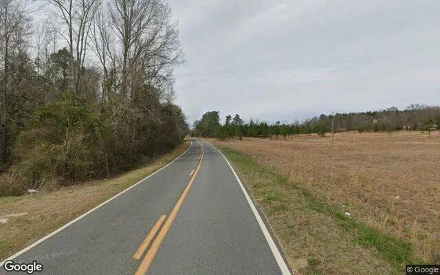 Decorative background for 74.65 Acres in Eastman - Dodge County, GA image 5