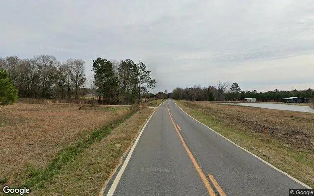 Decorative background for 74.65 Acres in Eastman - Dodge County, GA image 6