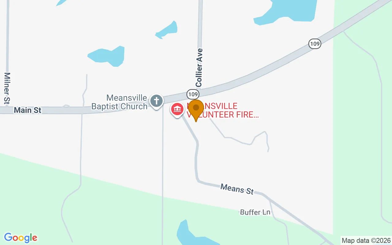 0.25 Acres in Meansville - Pike County, GA in Pike County, Georgia