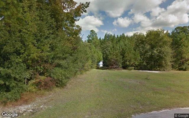 0.14 Acres in Springfield - Effingham County, GA in Effingham County, Georgia