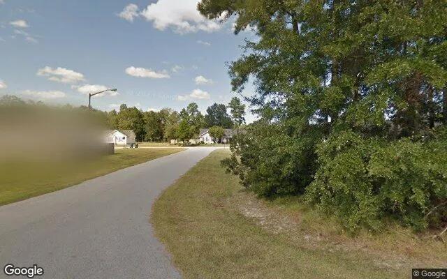 Decorative background for 0.14 Acres in Springfield - Effingham County, GA image 5