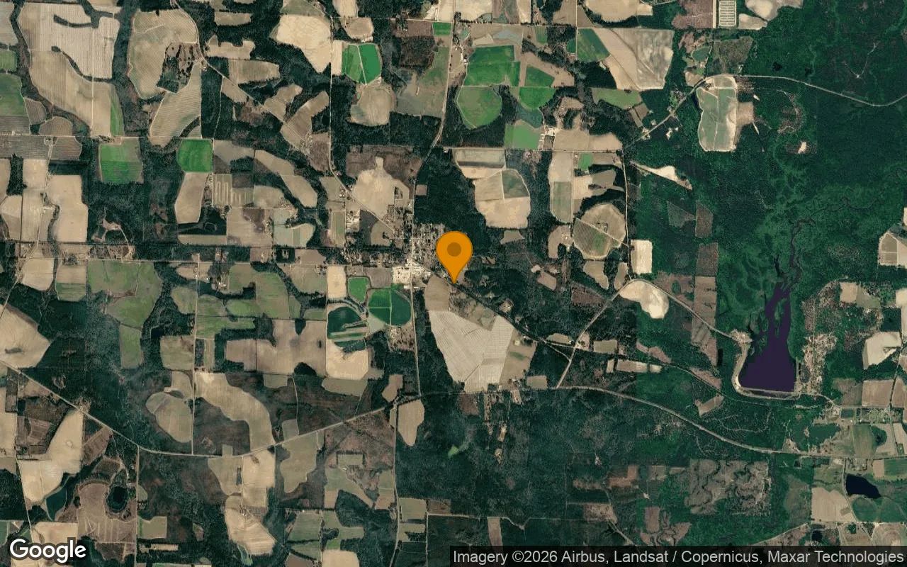 0.38 Acres in Ellenton - Colquitt County, GA in Colquitt County, Georgia