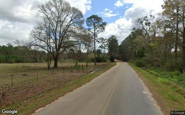 Decorative background for 0.38 Acres in Ellenton - Colquitt County, GA image 5