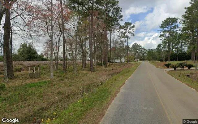Decorative background for 0.38 Acres in Ellenton - Colquitt County, GA image 6