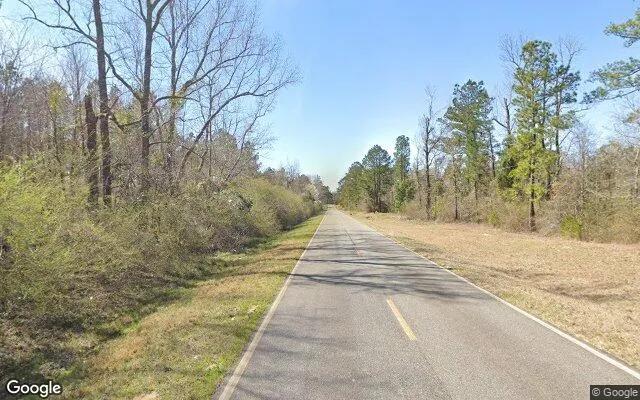Decorative background for 0.38 Acres in Harrison - Washington County, GA image 5