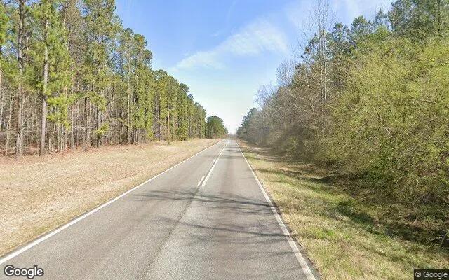 Decorative background for 0.38 Acres in Harrison - Washington County, GA image 6