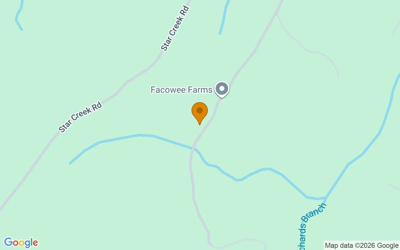 1.37 Acres in Morganton - Fannin County, GA in Fannin County, Georgia