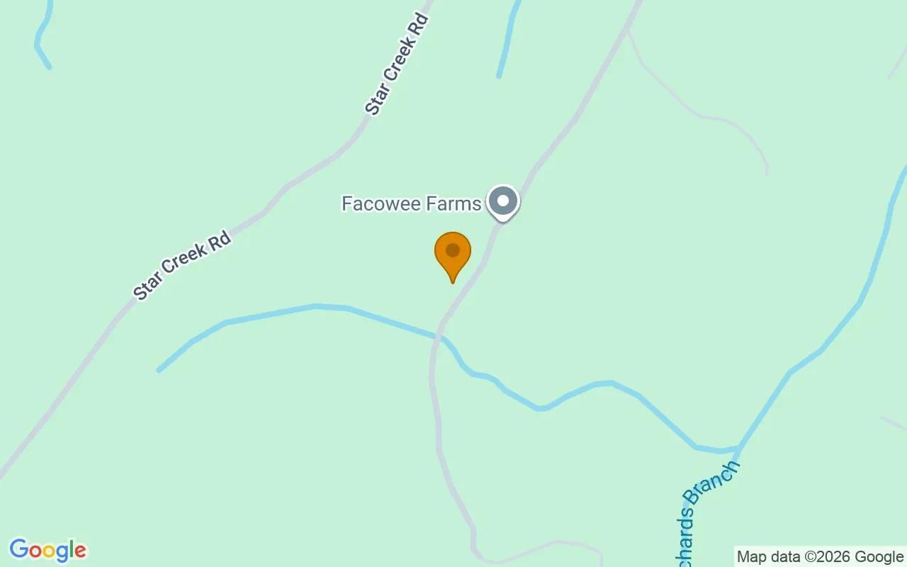 1.37 Acres in Morganton - Fannin County, GA - Image 2