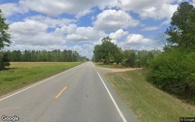 Decorative background for 3.49 Acres in Alapaha - Berrien County, GA image 5