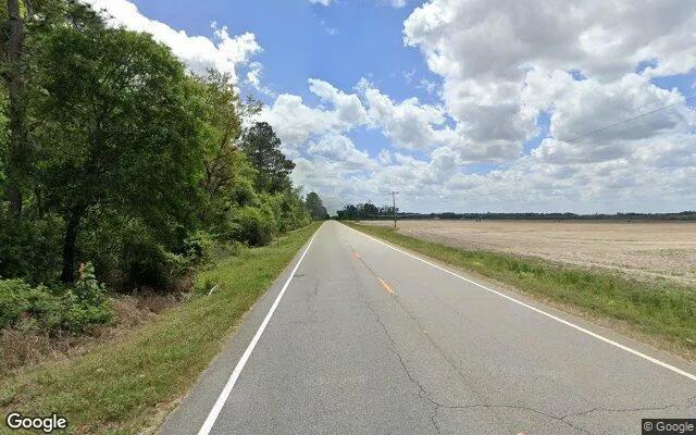 Decorative background for 3.49 Acres in Alapaha - Berrien County, GA image 6