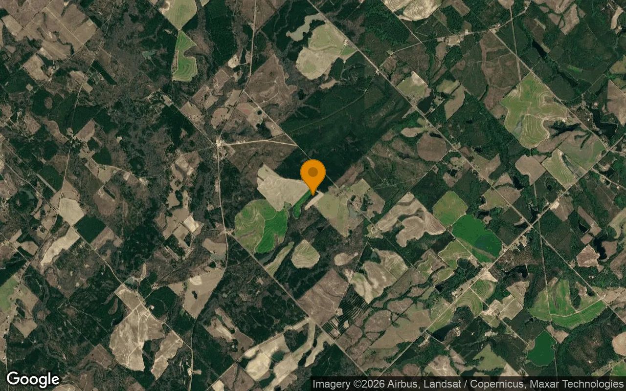 74.93 Acres in Eastman - Dodge County, GA in Dodge County, Georgia