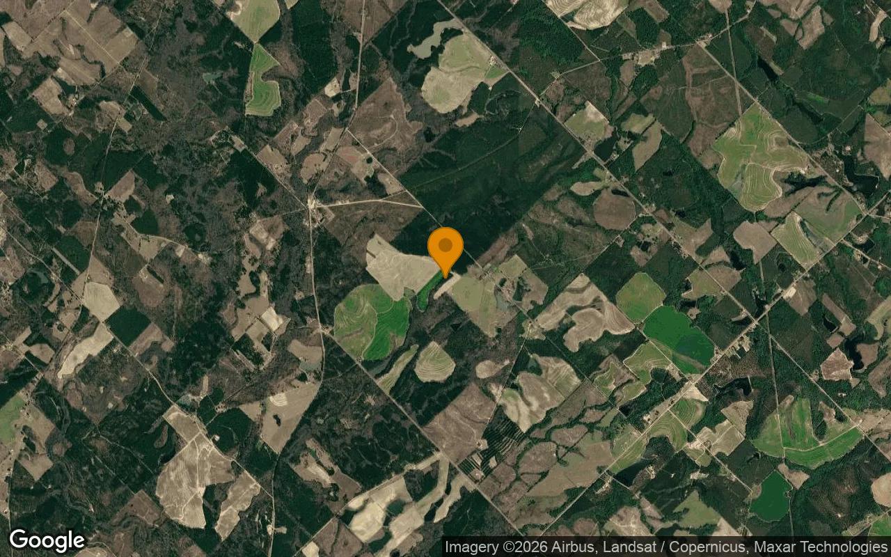 74.93 Acres in Eastman - Dodge County, GA - Image 3
