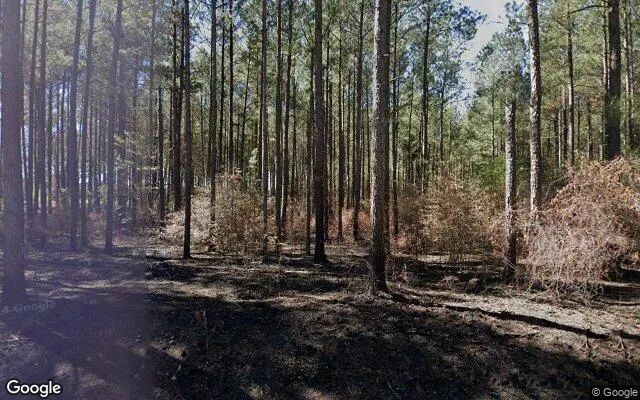 74.93 Acres in Eastman - Dodge County, GA in Dodge County, Georgia